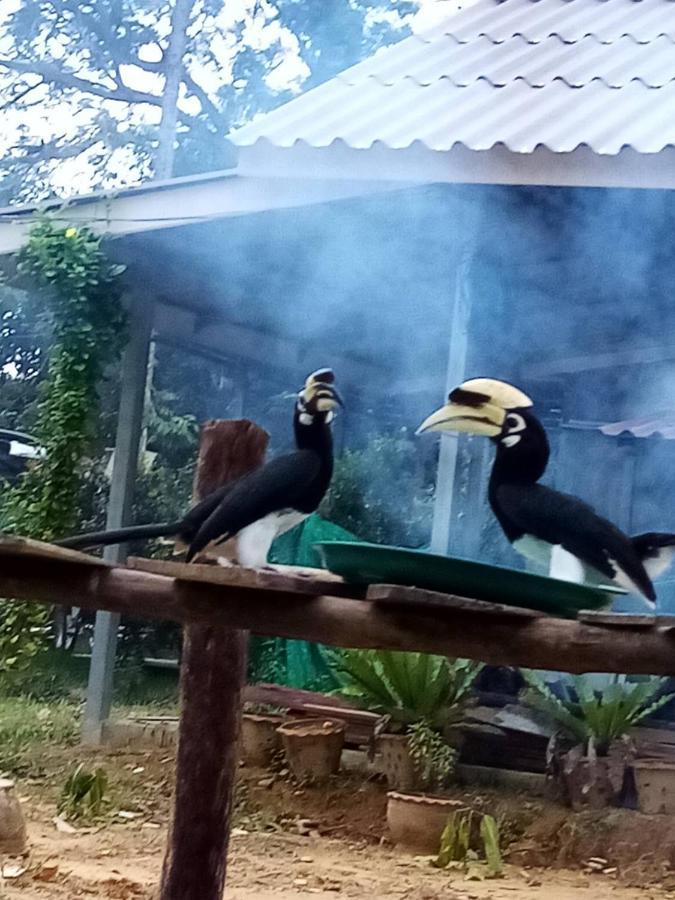 Eco Bungalow Koh Phayam Eksteriør billede