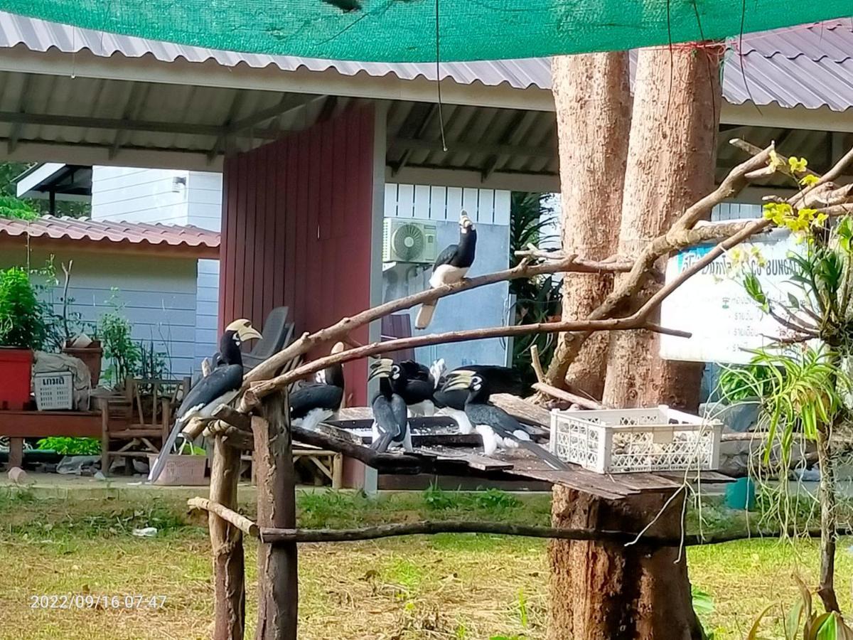 Eco Bungalow Koh Phayam Eksteriør billede