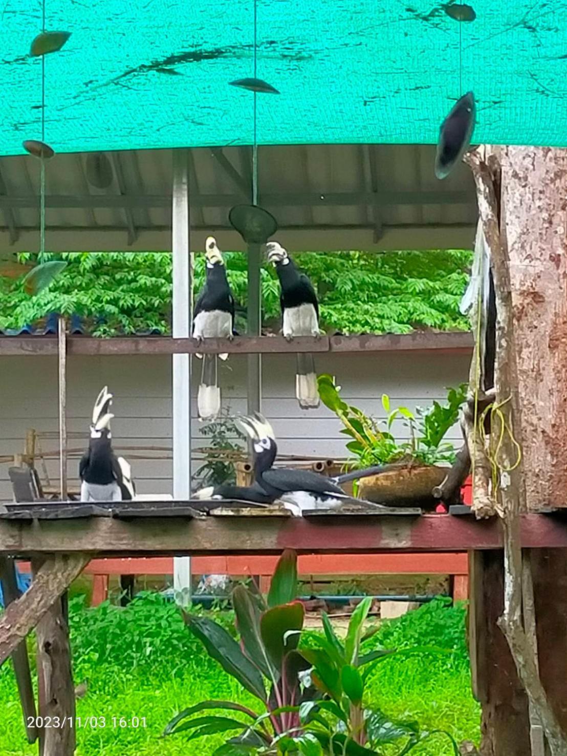 Eco Bungalow Koh Phayam Eksteriør billede
