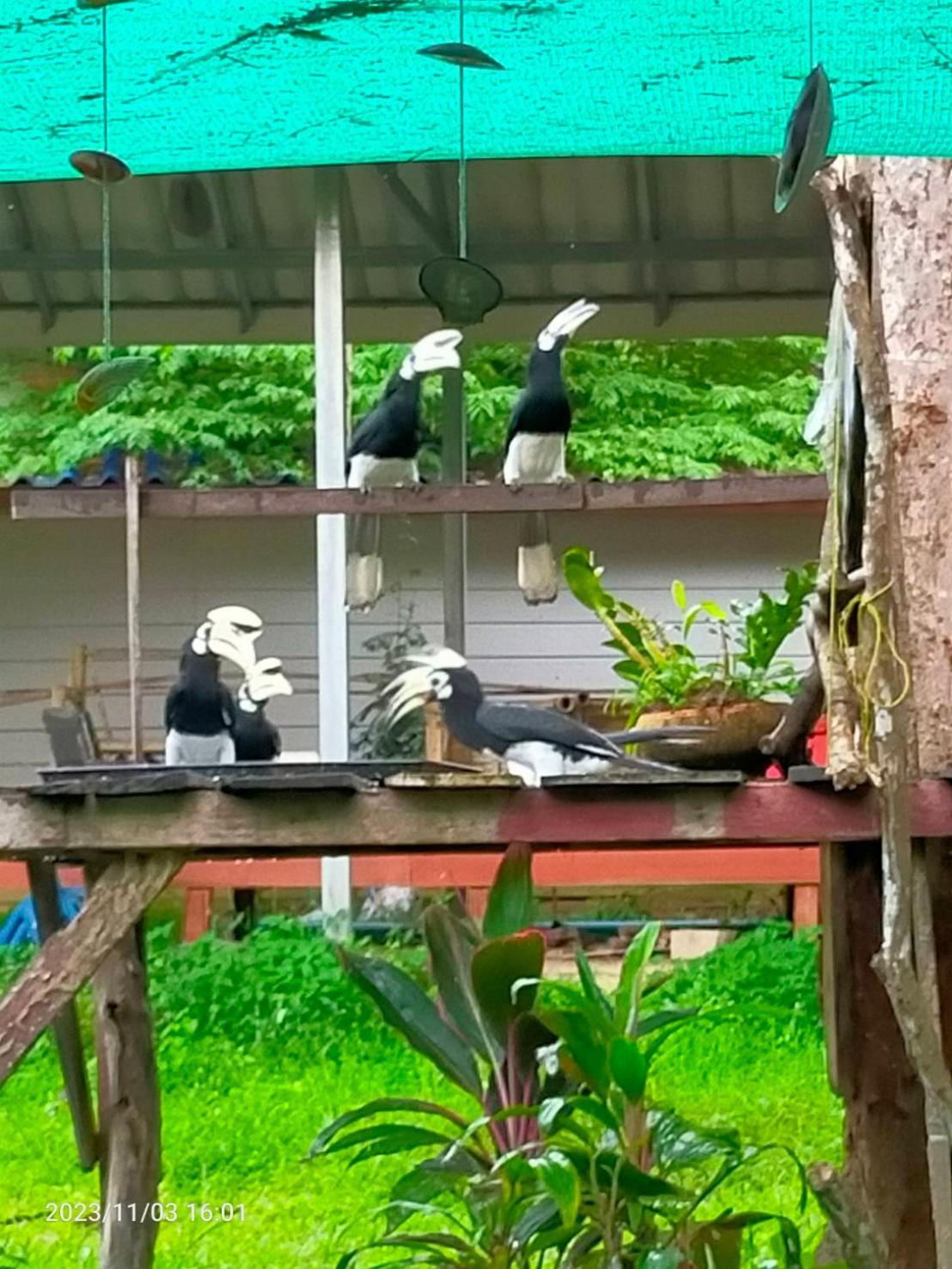 Eco Bungalow Koh Phayam Eksteriør billede